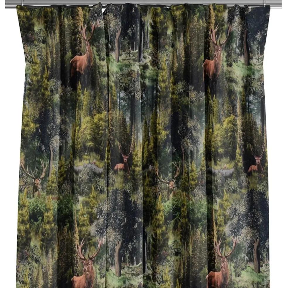 Ancient forest gardiner