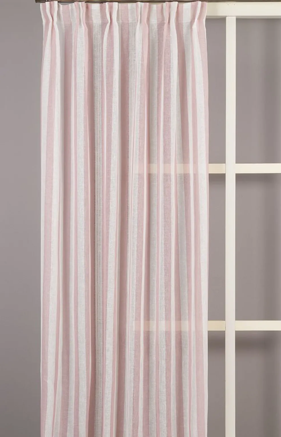 Disa rosa randiga gardiner