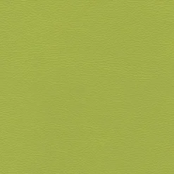 Karia lime fuskskinn