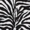 Velboa vit zebra